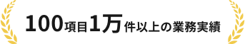 100項目1万件以上の業務実績